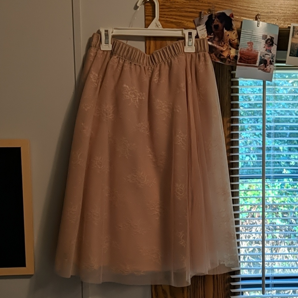 Rue 21 tulle skirt